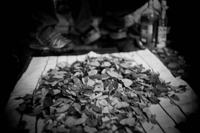 ../../files/gimgs/th-28_huasao4.jpg