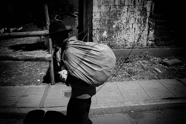 ../../files/gimgs/th-28_huasao5.jpg